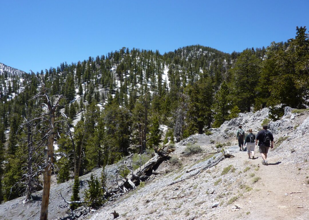 #50. Great Basin: Traverse Bristlecone Trail